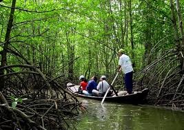 ទួរទេសចរណ៍ព្រៃលិចទឹកប្រៃនៅខេត្ត Khanh Hoa –វៀតណាម។ - ảnh 2